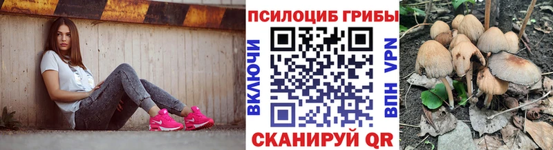 купить наркоту  Черепаново  Псилоцибиновые грибы Psilocybe 